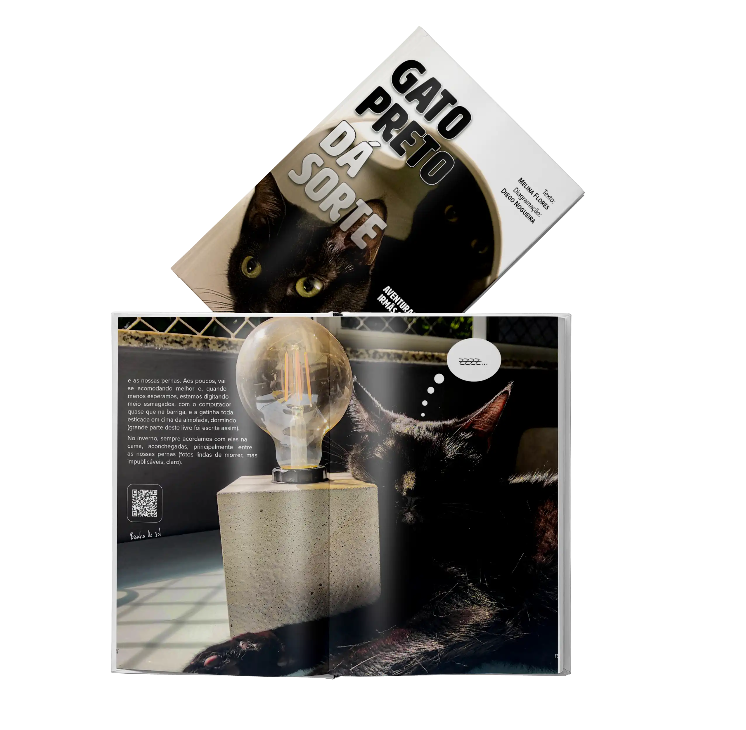 Livro Gato Preto Dá Sorte Livro Gato Preto Dá Sorte